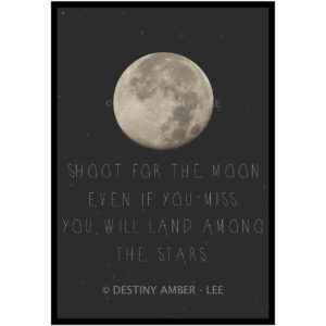 Shoot for the Moon - Art Print